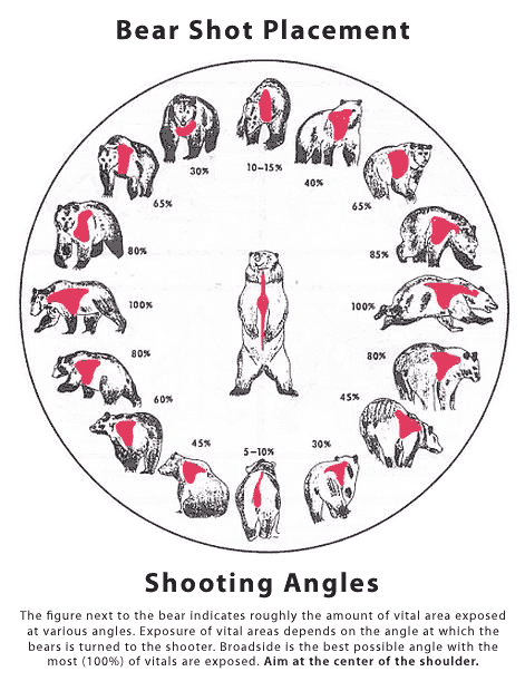 Handgun Shot Placement Chart